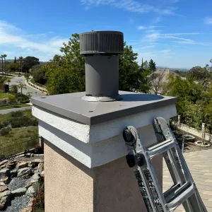 Chimney Services experts