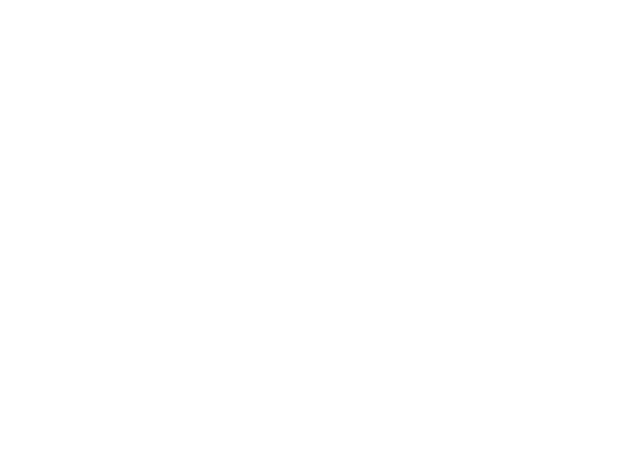 Chimney Services services